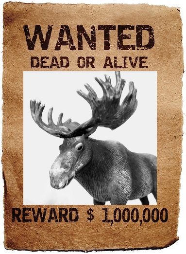 WANTED poster, Dead or Alive